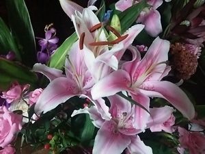 2015.7.12お花２.jpg